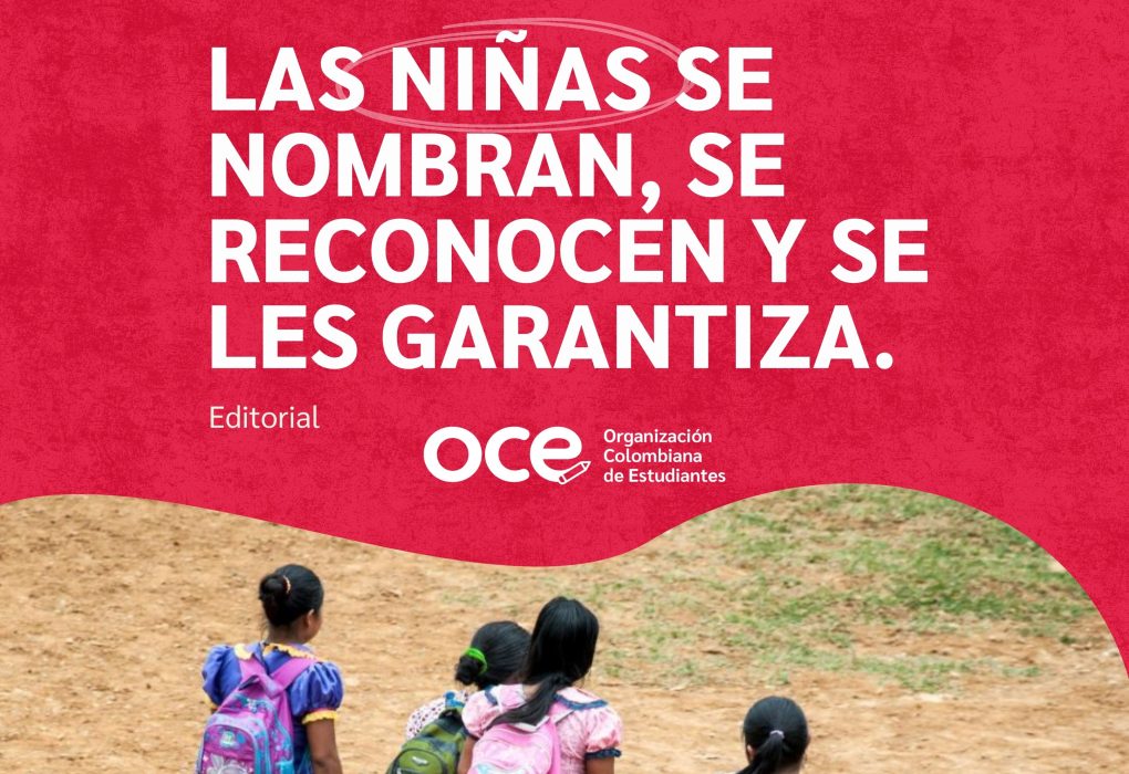 Las niñas sí se nombran Colombia